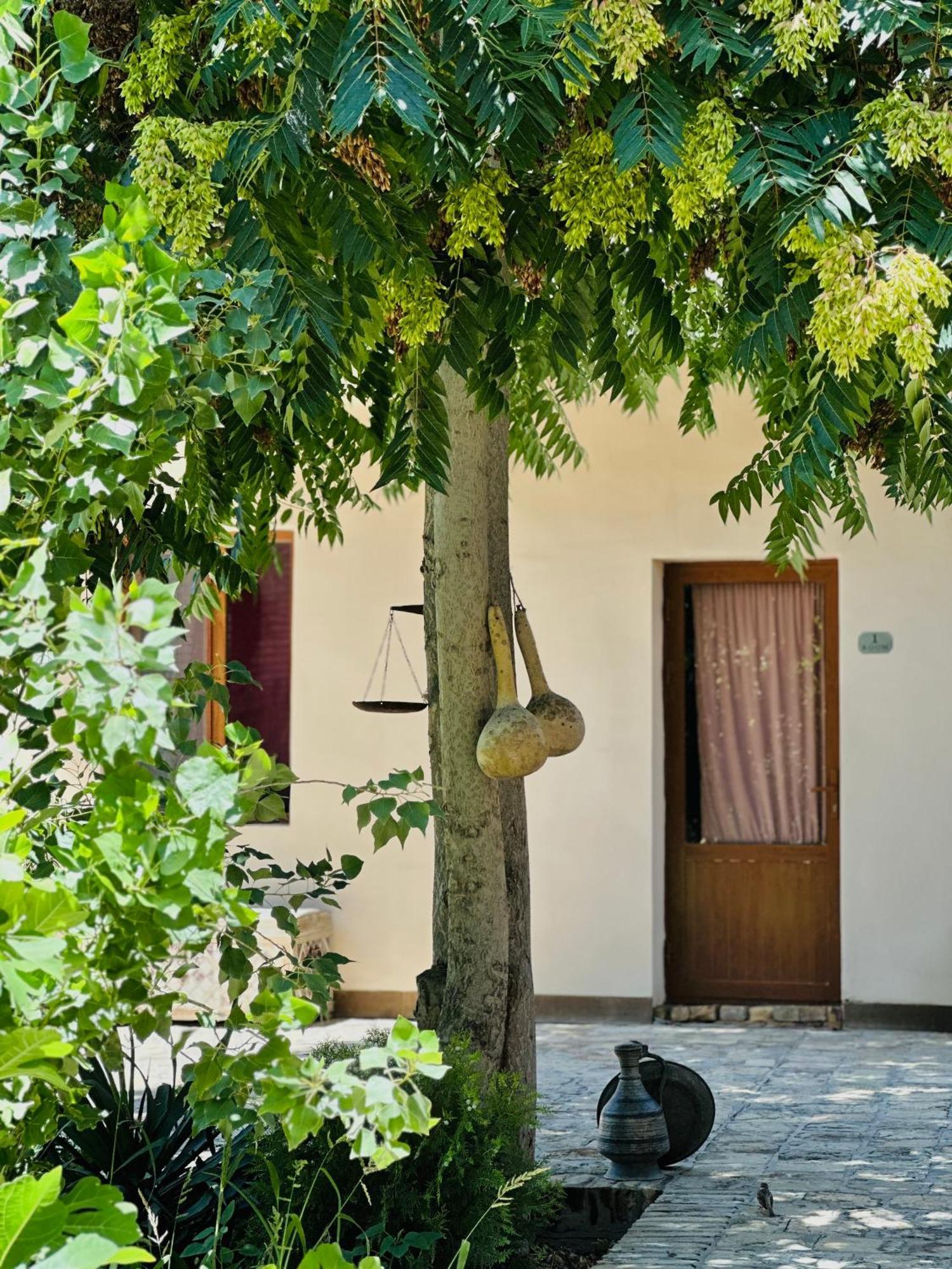 Dervish Hostel Bukhara Exterior foto